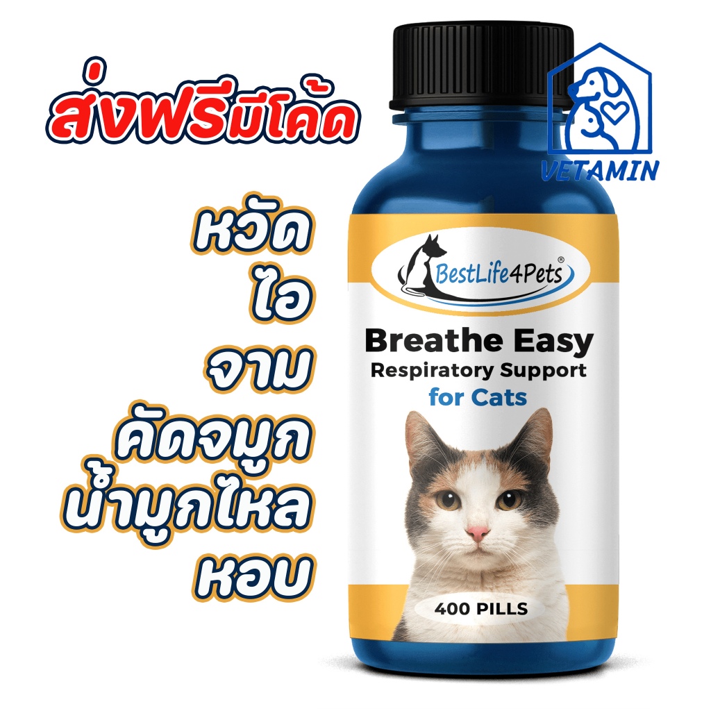 [20 เม็ด ส่งฟรี]พร้อมส่ง วิตามินสำหรับแมวเป็นหวัด ไอ จาม เสริมการทำงานของะบบทางเดินหายใจ Exp.12/27
