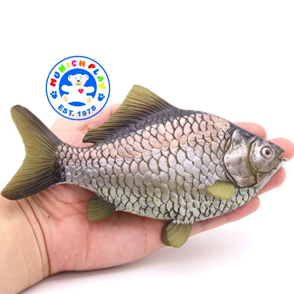 Munich Play โมเดลสัตว์ Fish ปลา ปลาตะเพียน ขนาด 17.00 CM (จากหาดใหญ่)