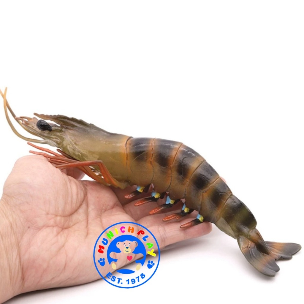 Munich Play - กุ้ง กุ้งกุลาดำ ขนาด 27.50 CM (จากหาดใหญ่)