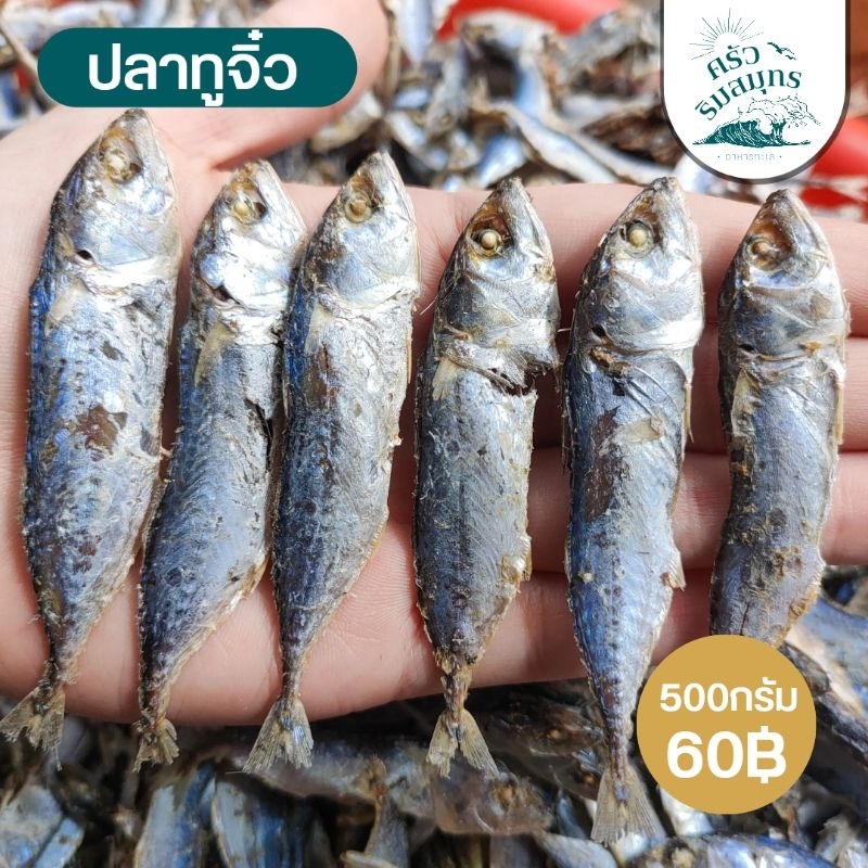 ปลาทูจิ๋ว ปลาทูเล็กตากแห้ง สดใหม่ ปลาทูทะเลตากแห้ง ปริมาณแพ็คละ 500 กรัม.