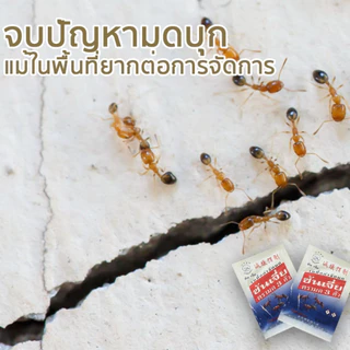 ซันเจี่ย เหยื่อกำจัดมด ยาฆ่ามด ของแท้ 100% เหยื่อตรามด 3 ตัว สินค้าพร้อมส่ง