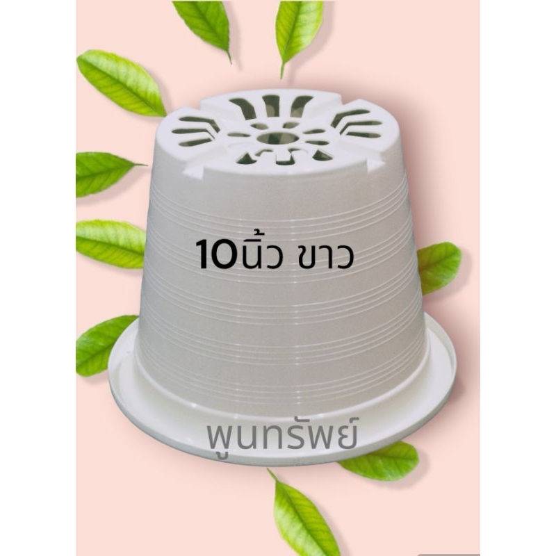 กระถาง 10นิ้ว (สีขาว)​ กระถางต้นไม้ พลาสติก(แพ็ค 10ใบ)