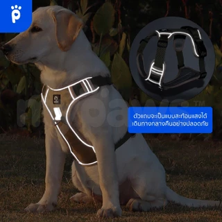 [🔥Clearance Sale]My Paws สายรัดอกสัตว์เลี้ยง พรีเมี่ยม สายรัดอกสุนัข