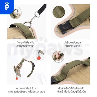 [🔥Clearance Sale]My Paws สายรัดอกสัตว์เลี้ยง พรีเมี่ยม สายรัดอกสุนัข