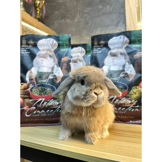 🐰Hope arharn natureconnection โฮ๊ปอาร์ฮาล เนเจอร์คอนเนกชั่น สูตรทานได้ทุกวัยทุกสายพันธ์
