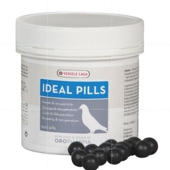 Ideal Pills ไอเดียพิล ต้นตำรับแห่งแรงบิน เหินตี กระพือปีก แพ็คเก็จ 500 เม็ด