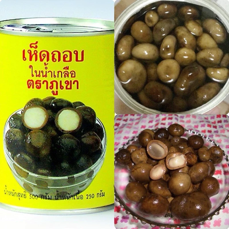 พร้อมส่ง เห็ดเผาะ เห็ดถอบ เห็ดถอบกระป๋อง เห็บถอบในน้ำเกลือตราภูเขา คัดอ่อนพิเศษ ขนาด 500 กรัม