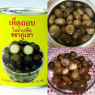 พร้อมส่ง เห็ดเผาะ เห็ดถอบ เห็ดถอบกระป๋อง เห็บถอบในน้ำเกลือตราภูเขา คัดอ่อนพิเศษ ขนาด 500 กรัม