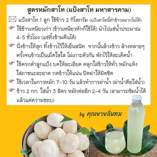 [แพ็ค 5 ลูก] แป้งสาโท : สูตรอีสานโบราณ / ทำน้ำขาว สาโทกลั่น สาโทต้ม