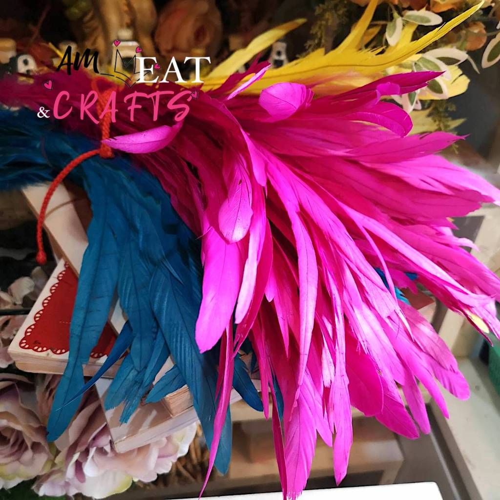 ขนไก่โต้ง กลาง ขนไก่ มีหลายสี (พร้อมส่ง) เส้นขน ขนนก ขนไก่ สีสวย แบ่งขาย 6 ก้าน ขนาดกลาง ยาว12-14 นิ้ว Rooster