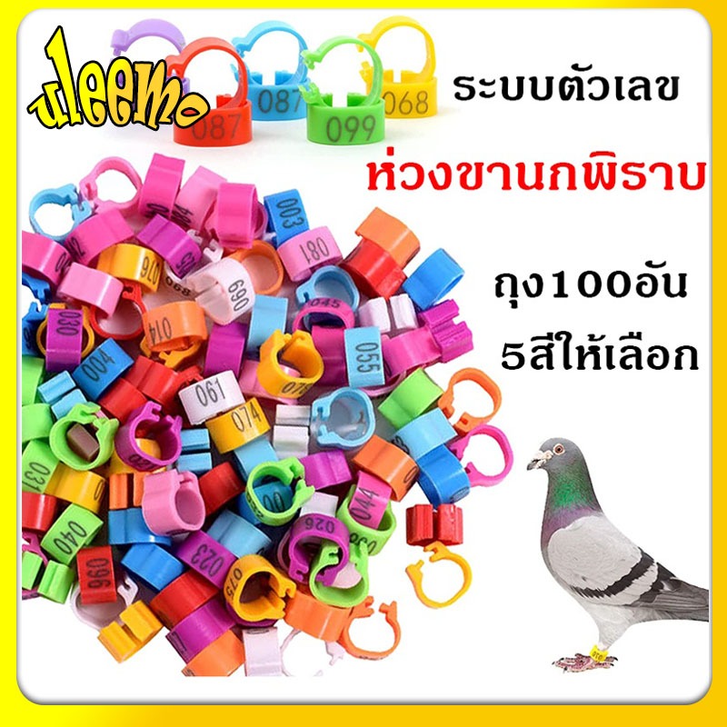 100ชิ้น/ตัวเลข001-100 ห่วงขานกเขา ห่วงขานกพิราบ ห่วงขานกเขาใหญ่ 8มม ระบุตัวเลข ทำเครื่องหมายนก