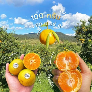 🇹🇭Oishi-fresh🍊ส้มสายน้ำผึ้ง หวานจัด เปรี้ยวนิดๆ รสชาติหวาน หอม กลิ่นส้ม สด ใหม่ ใยอาหารสูง เคลมได้ 1-2 วัน