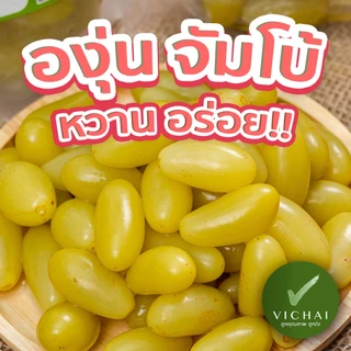 💥พร้อมส่ง💥 องุ่นดอง ลูกใหญ่ “หวาน กลมกล่อม” ( เฮียวิชัย ) สดใหม่ กลมกล่อม "เสริฟพร้อมพริกเกลือ" Since1984