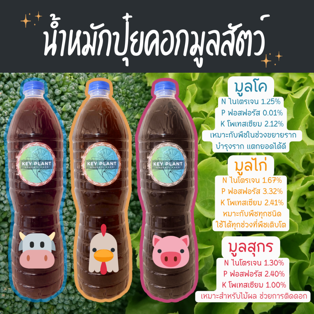 น้ำหมักปุ๋ยคอกมูลโคขี้วัว น้ำหมักขี้ไก่ น้ำหมักขี้หมูมูลสุกร 1.5Lหมักจุลินทรีย์ที่มีประโยชน์ต่อพืช