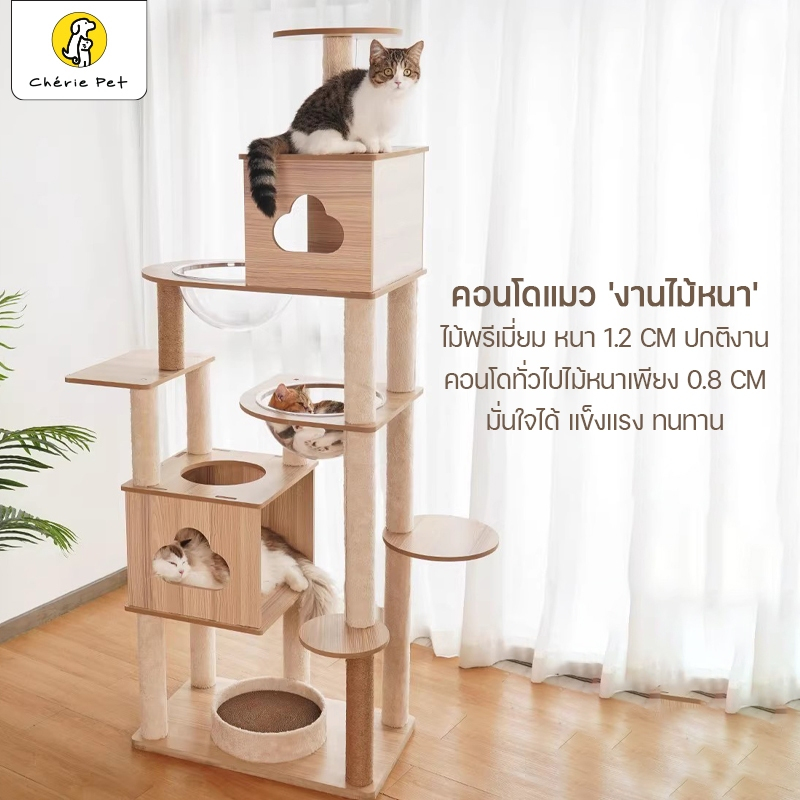 Cherie Pet シ คอนโดแมว แบบไม้หนา บ้านแมว ของเล่นแมว หลุมอวกาศ 2 หลุม คอนโดแมวไม้ ขนาดใหญ่ สูง 178 CM