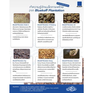 Bluekoff Plantation: Honey เมล็ดกาแฟ ไทย อราบิก้า 100% Arabica 100% (1 ถุง บรรจุ 250 กรัม) คั่วกลางค่อนกลางเข้ม A4.5