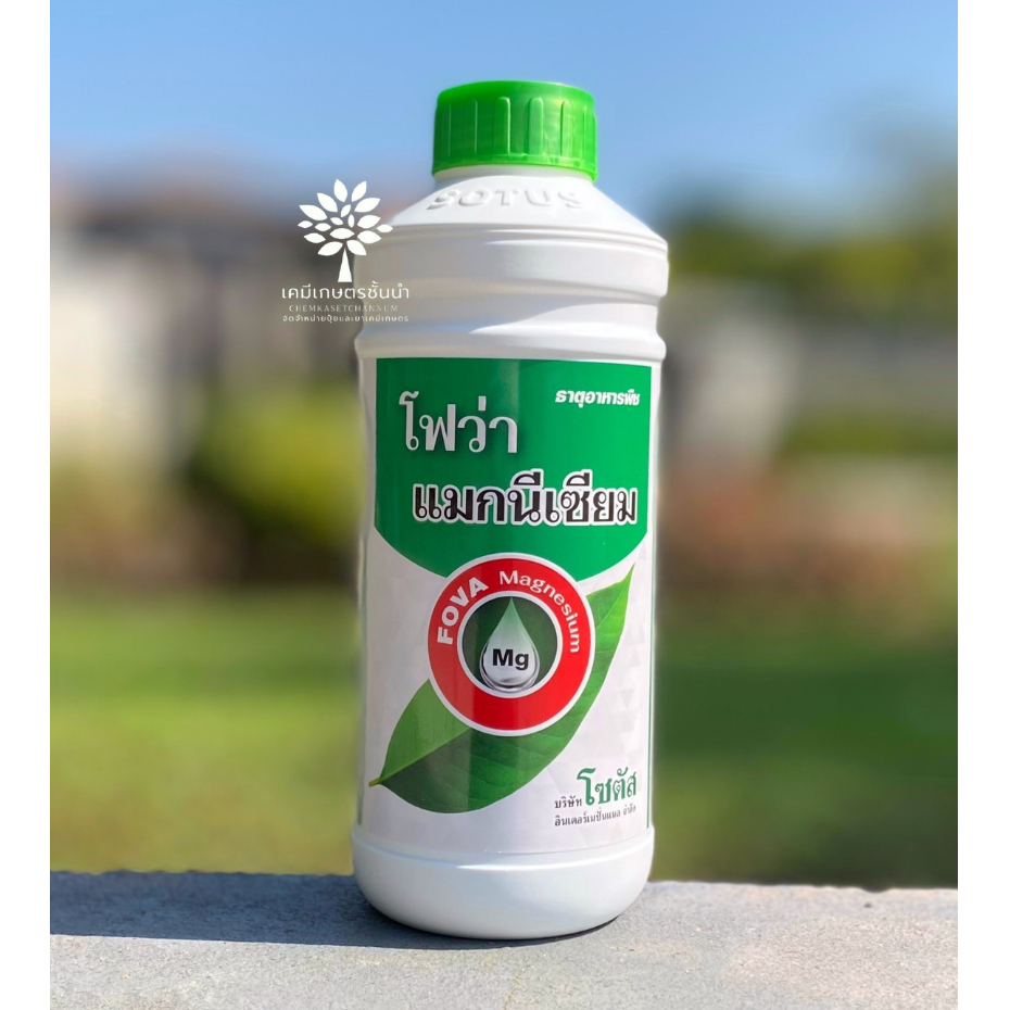 โฟว่า แมกนีเซียม 1 ลิตร ช่วยให้ใบมีสีเขียวเข้ม พืชสร้างอาหารได้ดี ผลสุกแก่สม่ำเสมอ ✅ สินค้าผลิตใหม่ ของแท้แน่นอน