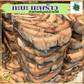 กะบะกาบมะพร้าว สำหรับปลูกกล้วยไม้ วัสดุปลูกธรรมชาติ ช่วยให้ร…