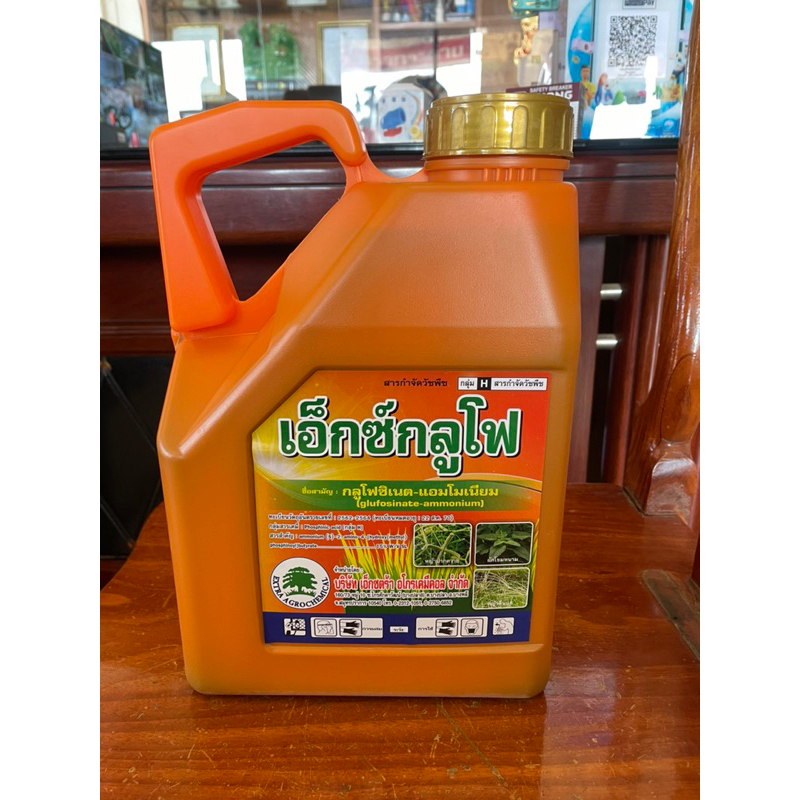 กลูโฟซิเนต 4 ลิตร(เอ็กซ์กลูโฟ)น้ำฟ้า 15% สารกำจัดวัชพืชใบแคบใบกว้าง เช่น หญ้าปากควาย หญ้าตีนนก เป็นต้น