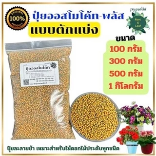ออสโมโค้ท พลัส สูตร 12-25-6 ใส่เพียงครั้งเดียว พืชได้รับปุ๋ยต่อเนื่องนาน 6 เดือน สูตรเร่งดอกโรยเม็ดที่โรยรอบโคนต้น