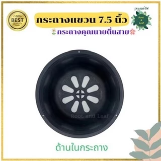 กระถางแขวน กระถางต้นไม้สำหรับแขวน ขนาด 7.5 นิ้ว ความกว้างปากกระถาง(เบอร์8) กระถางชามเตี้ย สีดำ ทรงเตี้ย