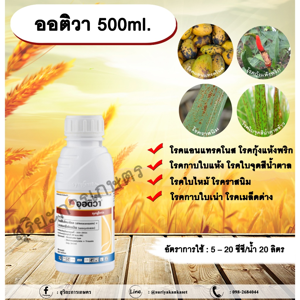 ออติวา 500ml. ไดฟีโนโคนาโซล+อะซอกซีสโตรบิน สารป้องกันกำจัดโรคพืช เชื้อรา โรคกาบใบแห้ง กาบใบเน่า