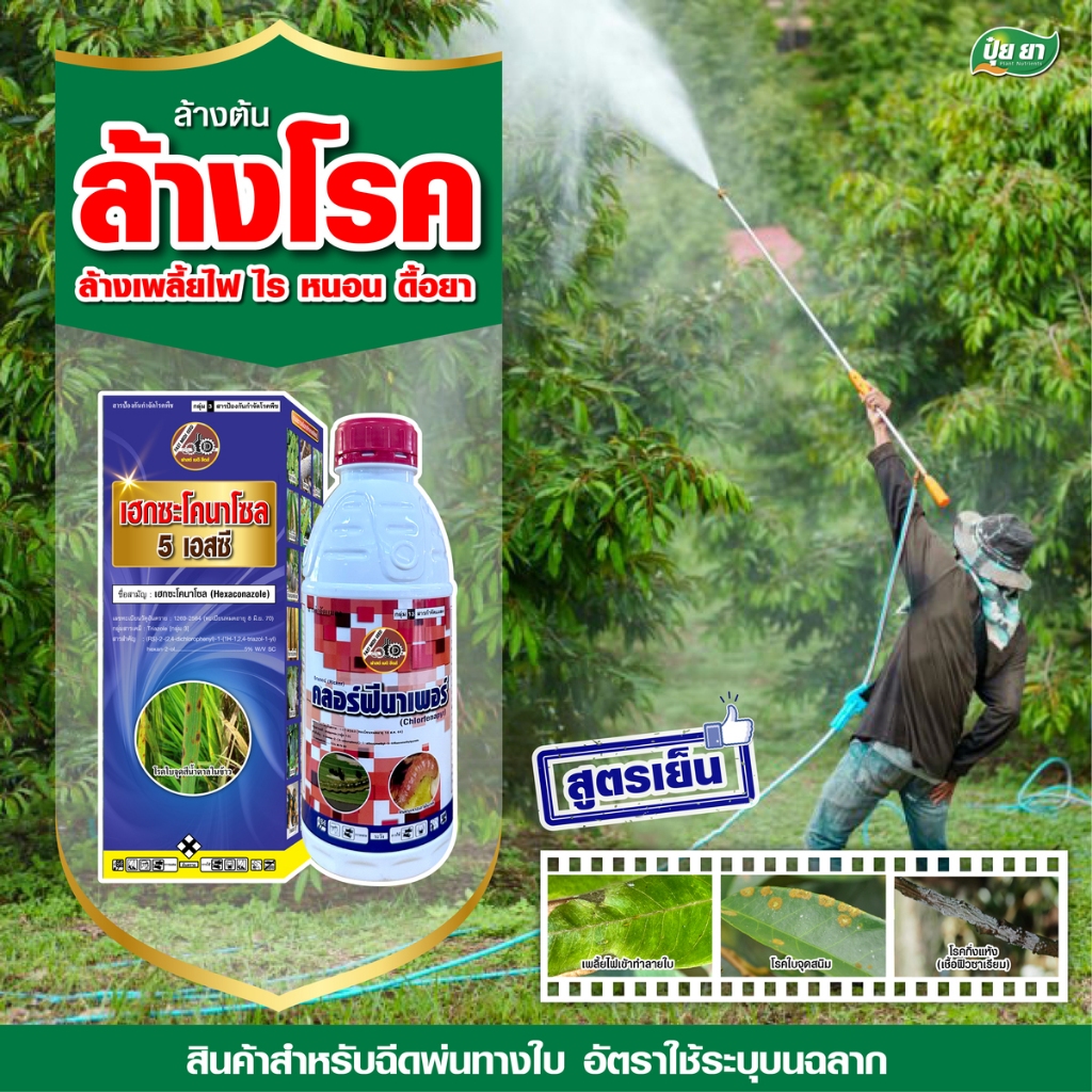 ชุดล้างต้น ล้างโรค ล้างเพลี้ยไฟ ไร หนอนดื้อยา ปุ๋ย ยา ยากำจัดแมลง ยาโรคพืช (ขนาด 1 ลิตร + 1 ลิตร)