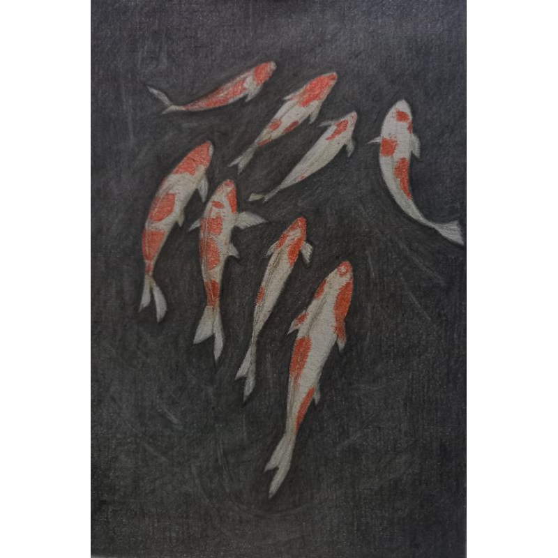 รูปวาดปลาคราฟมงคล 8 ตัว กระดาษA4 สีไม้สีไม้ระบายน้ำ