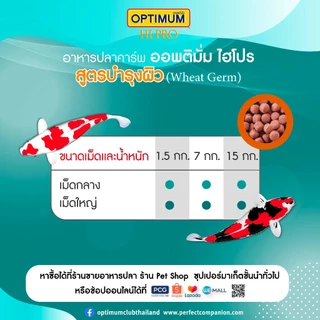 ออพติมั่ม ไฮโปร อาหารปลาคาร์พ Wheat Germ (สูตรบำรุงผิว) ขนาด 7 กก.