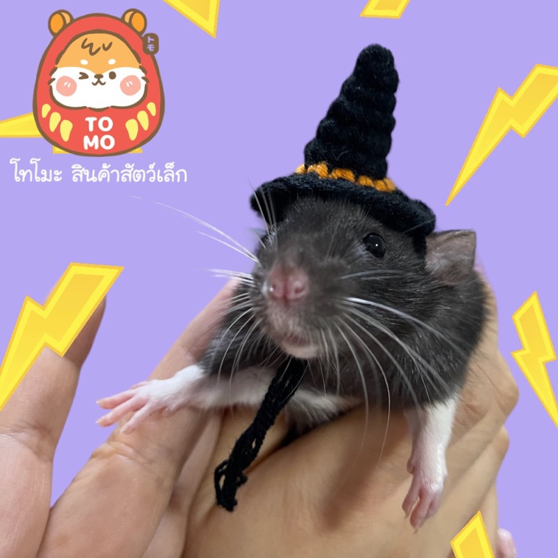ร้านโทโมะ 💕 หมวกถัก แบบเยอะมาก สำหรับ หนูแฮมสเตอร์ แรท เจอร์บิล ชูการ์ ไมค์ ใส่ถ่ายภาพ น่ารัก