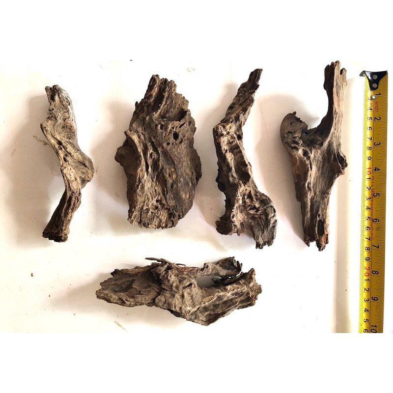 ขอน ราก กิ่ง เศษไม้ ตกแต่งตู้ปลา สวนถาด บอนไซ DIY driftwood