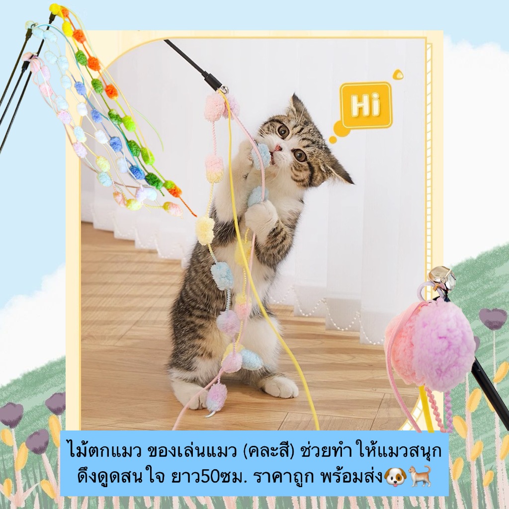 AL-531 ไม้ตกแมว ของเล่นแมว (คละสี) ช่วยทำให้แมวสนุก ดึงดูดสนใจ ยาว50ซม. ราคาถูก พร้อมส่ง🐶🐈
