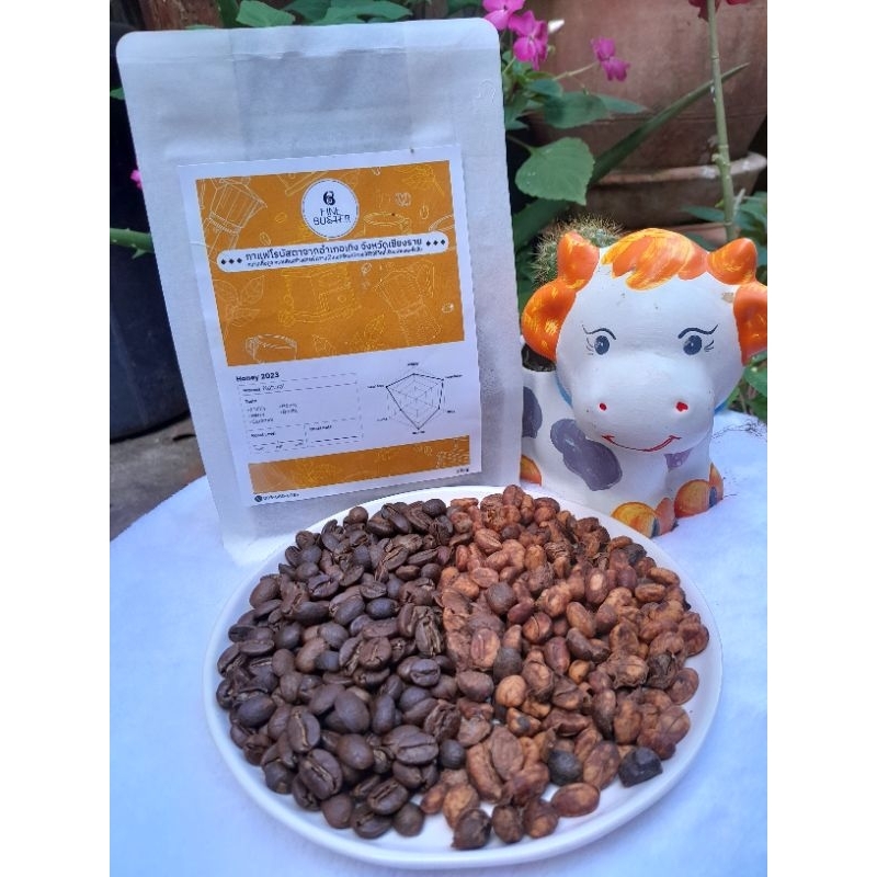Fine Robusta : Honey 2023