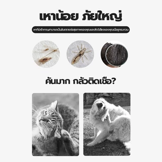 หวีสางเหา หวีหมัดสัตว์เลี้ยง หวีแมว หวีสางไข่เหา หวีสางเห็บหมัด ซี่หวีเข้ารหัสเหมาะสำหรับแมวและสุนัข มี2ขนาด