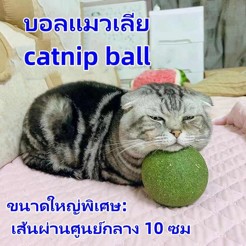 😻พร้อมส่ง😻ซุปเปอร์ใหญ่ แคทนิปบอล กัญชาแมว ของเล่นแมวเลีย catnip ball 10cm ผ่อนคลาย อารมณ์ดี