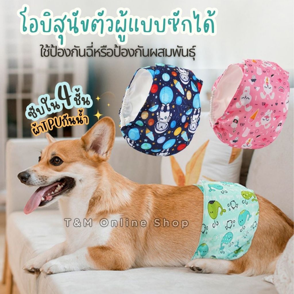 โอบิแบบซักได้ ผ้าTPUกันน้ำ+ผ้ารองซับด้านใน4ชั้น  โอบิสุนัข  ผ้าคาดเอวสุนัขตัวผู้