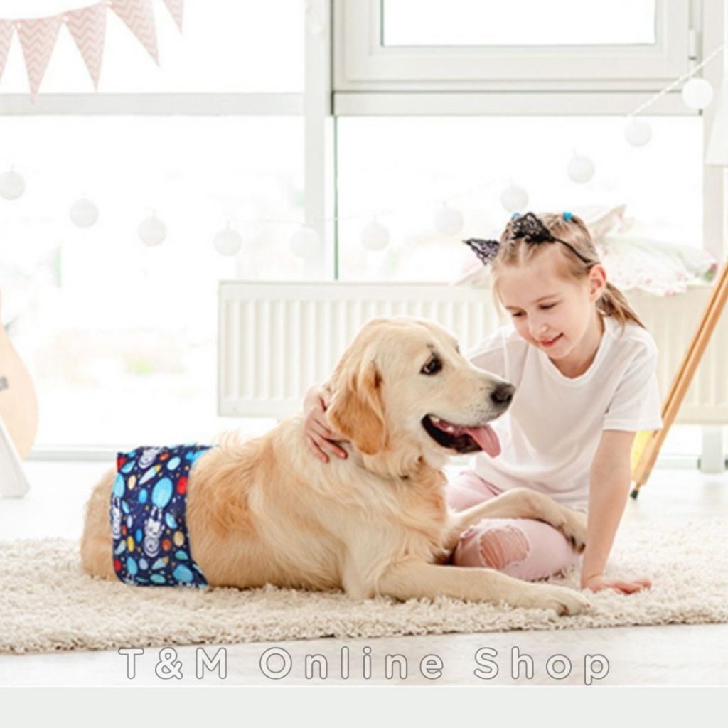 โอบิแบบซักได้ ผ้าTPUกันน้ำ+ผ้ารองซับด้านใน4ชั้น  โอบิสุนัข  ผ้าคาดเอวสุนัขตัวผู้ - รูปที่ 2