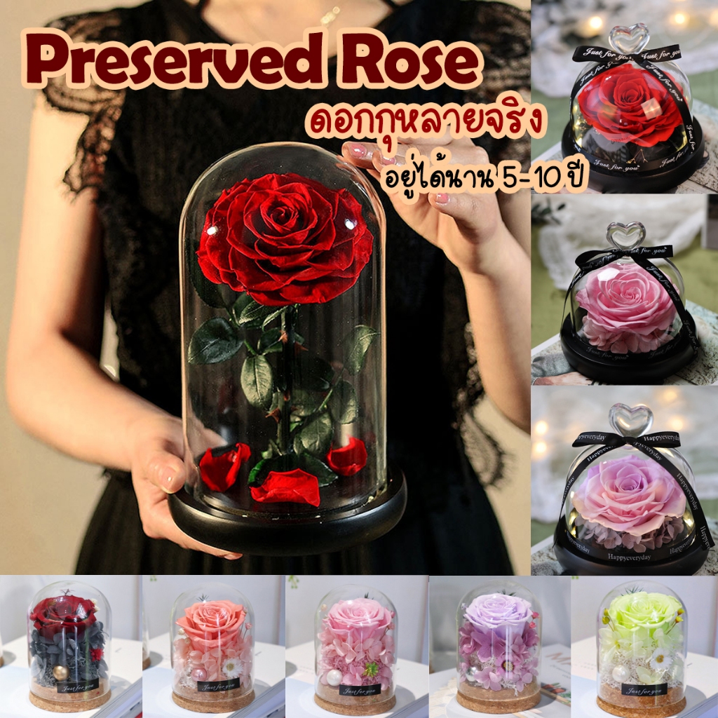 [ พร้อมส่ง] กุหลาบจริงนาน5-10ปี ดอกกุหลาบอมตะ Preserved Rose ของขวัญวาเลนไทน์ ดอกกุหลาบ Valentine