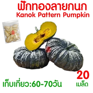 *โค้ดส่งฟรี* ผักไม้เลื้อย เมล็ดผัก เมล็ดตระกลูแตง (2,000เมล็ด+) เมล็ดพันธุ์ เมล็ดพันธุ์ผัก งอกดี ปลูกผัก Clearance