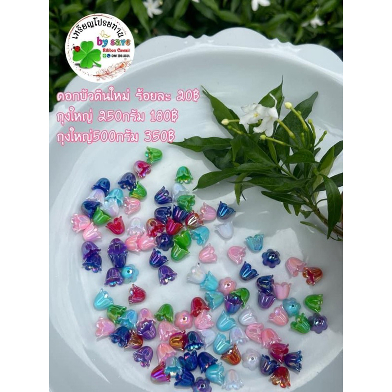 ดอกบัวดินใหม่ 100ชิ้น 25บาท