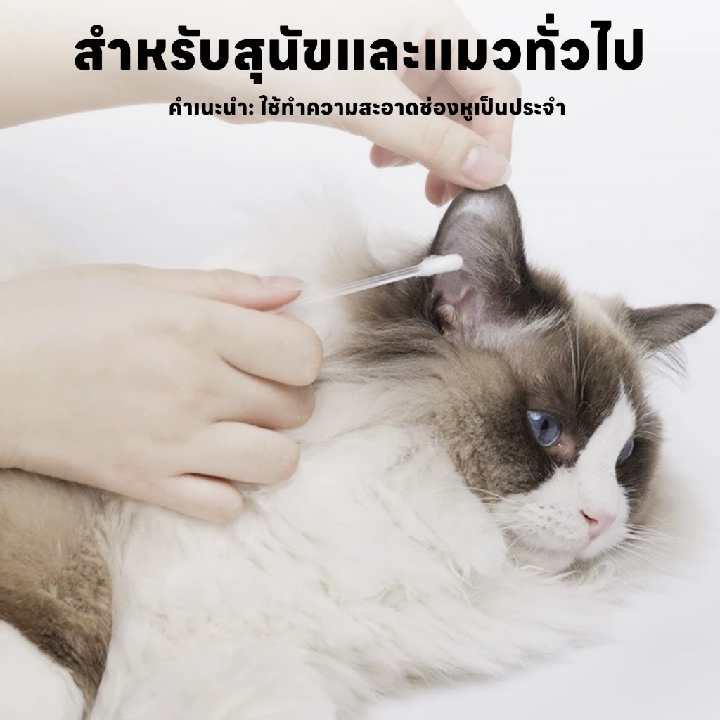 yoyopet : Cotton Bud สำลีก้านสัตว์เลี้ยง คอตตอนบัดสุนัข แมว+น้ำยาบำรุงช่องหู 50 ก้าน สินค้าพร้อมส่ง thumbnail 7