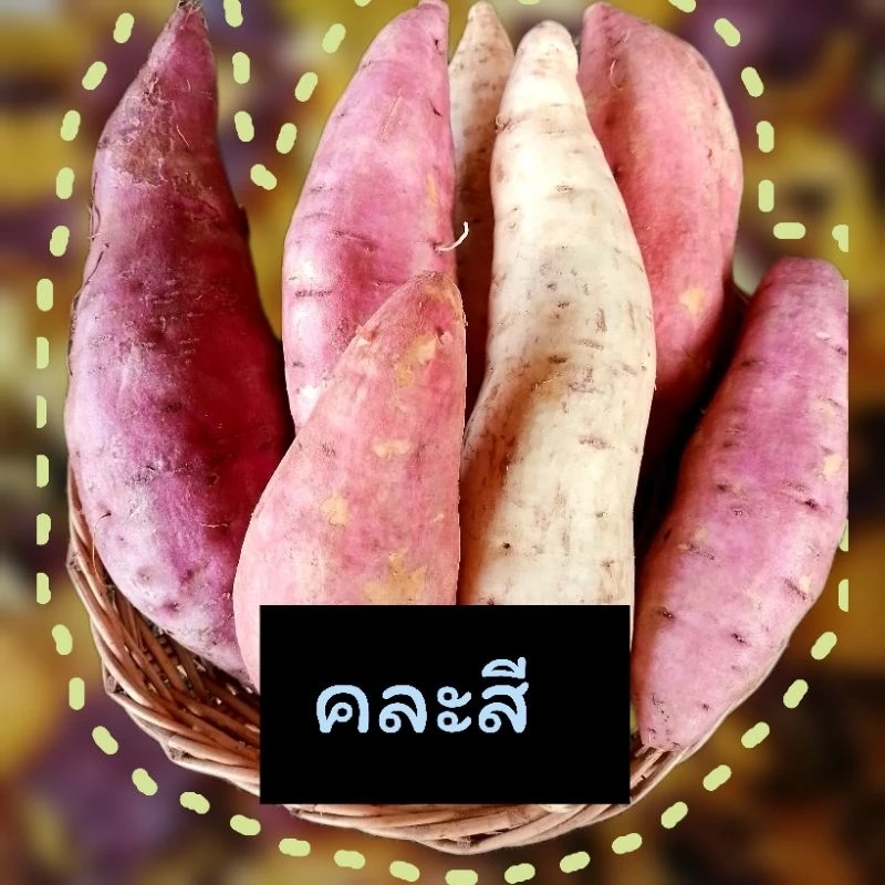มันเทศหวาน●เกรดA●แพ็ก1กก.**ชั่งรวมกล่อง**