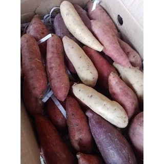 มันเทศหวาน●เกรดA●แพ็ก1กก.**ชั่งรวมกล่อง**