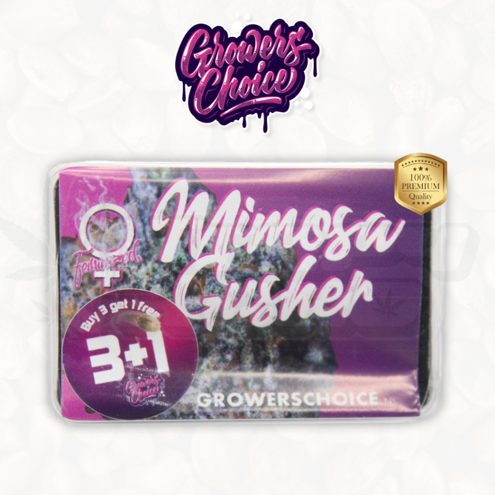 Mimosa Gusher Limited Edition (Photo) - Growers Choice เมล็ดกัญชา นำเข้าแท้100% เมล็ดเพศเมีย