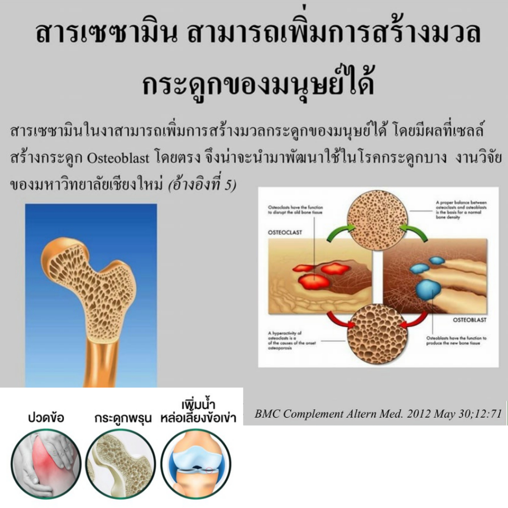งาดำกิฟฟารีน เซซามิ-เอส สารสกัดจากงาดำ สารเซซามิน20มก ดูแลกระดูก ตับ สมอง มะเร็ง ลดไขมันความดัน ราคา ถูกที่สุด ดีลบีเคเค แกลเลอรีภาพที่ 7