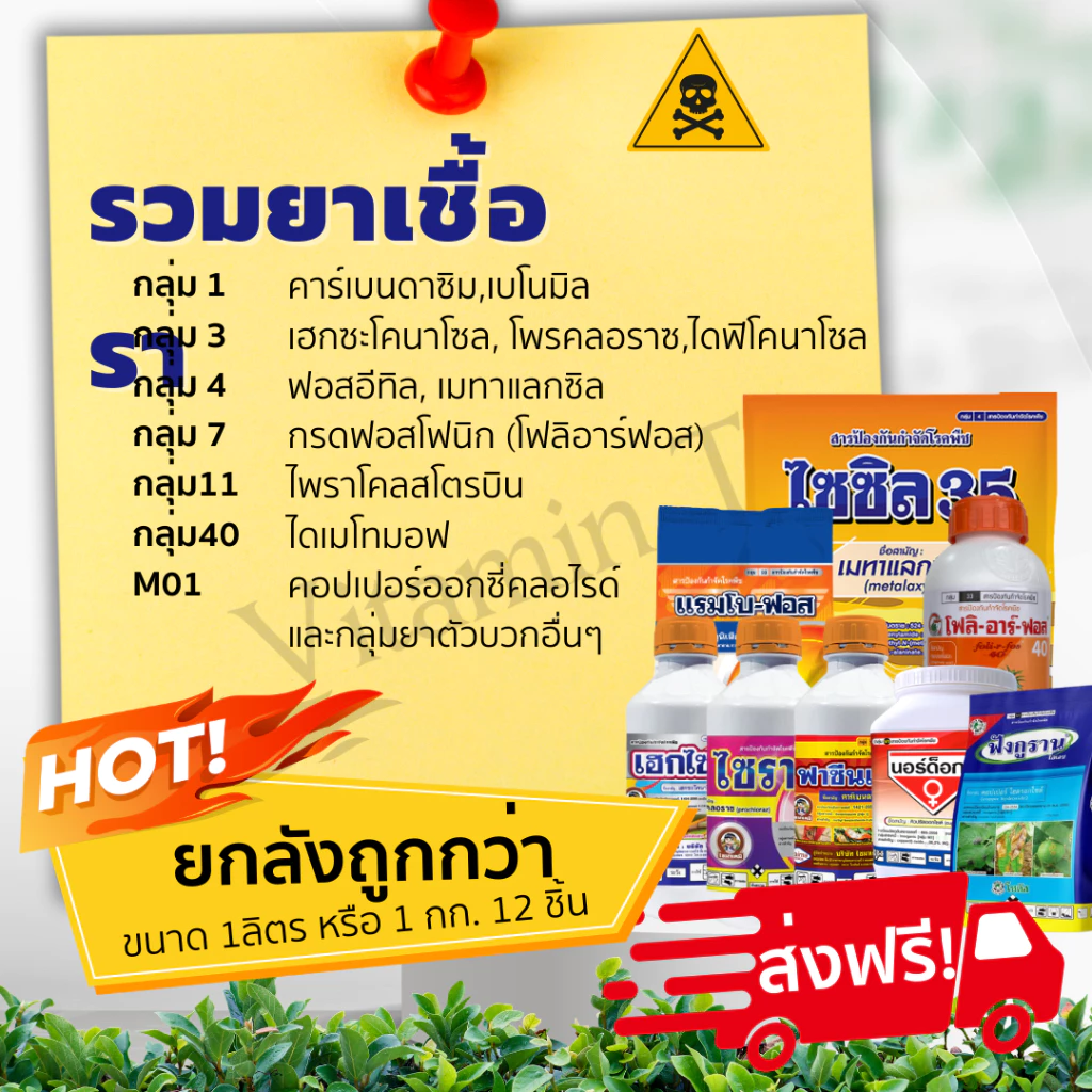 [ยกลัง ส่งฟรี] ยากำจัดเชื้อรา โรคพืช รากเน่า ใบติด ราน้ำค้าง ใบเหลือง ฟังกูราน นอร์ด็อก โฟลิอา ฟอสอีทิล เมทา