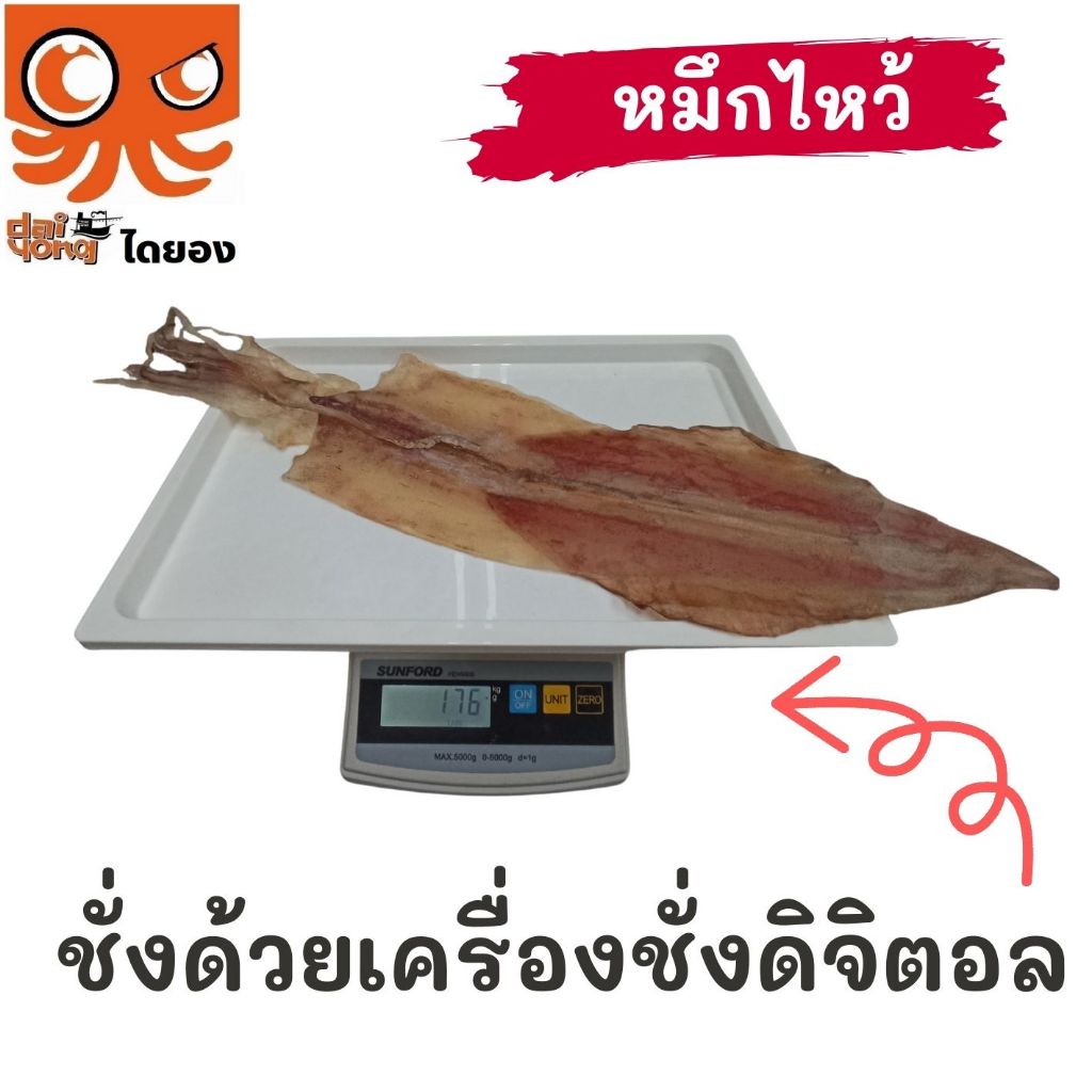 หมึกไหว้ หมึกหนังผ่า ตัวใหญ่ยาว 15 นิ้ว (บรรจุ 1-2 ตัว น้ำหนัก 130-250 กรัม) มีสินค้าจริง ส่งไว