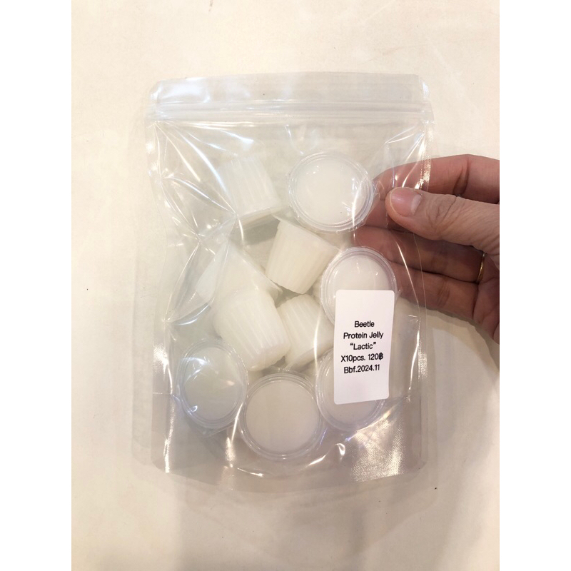 ⭐️แบ่ง 1 ชิ้น 12 บ⭐️ 10 pcs. = 120฿ White color Import Product เยลลี่โปรตีนยางไม้ สำหรับด้วงแมลง JEL
