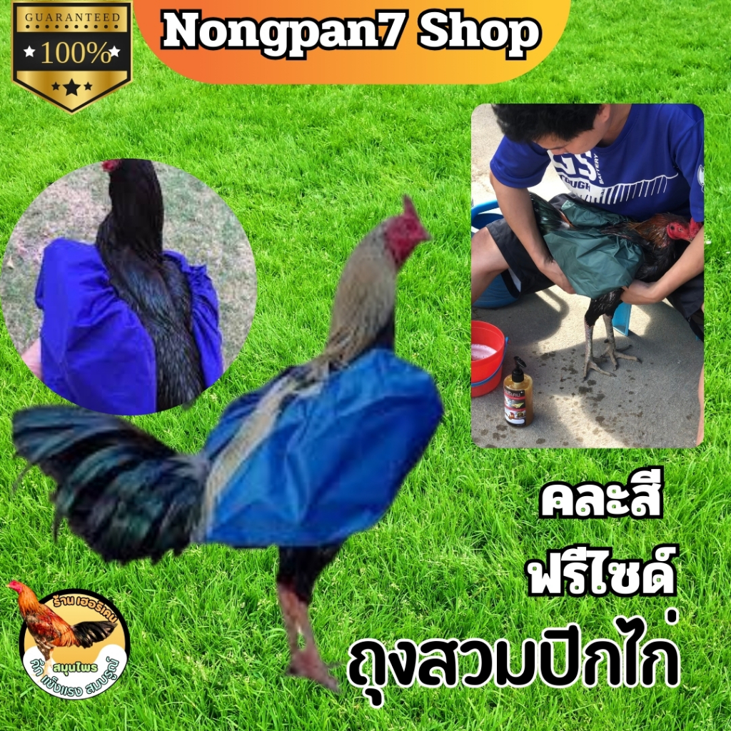 หุ้มปีกไก่ชน สำหรับอาบน้ำไก่ชน ผ้าร่ม กันน้ำ ทนทาน คละสี