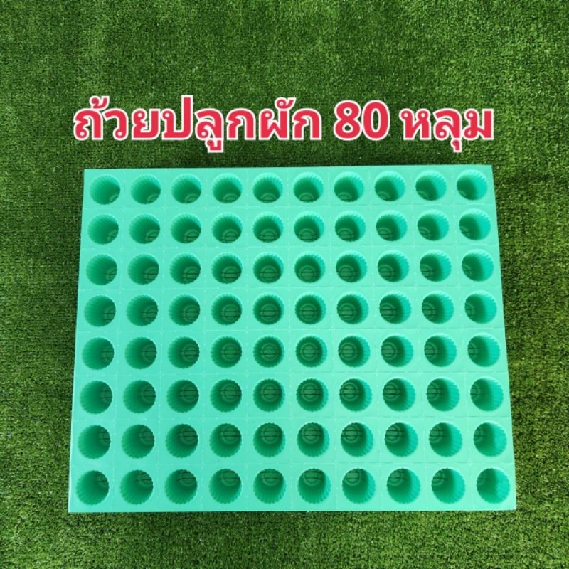 ถ้วยปลูกผักไฮโดรโปนิกส์ ถาดเพาะ สีเขียว 80 หลุม เกรดA แบบหนา
